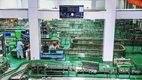 百年膠濟釋放發展新動能 淄博與大連產業的澎湃動力