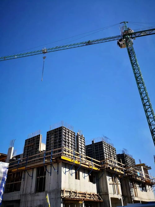 中南建筑國際工程事業(yè)部赴以色列 馬爾代夫開展系列商務(wù)洽談